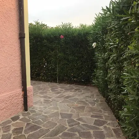 Sea And Garden *
